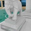 秦皇岛 白麻花岗岩动物异形石雕-大象
