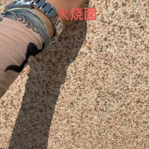 秦皇岛黄金麻火烧面