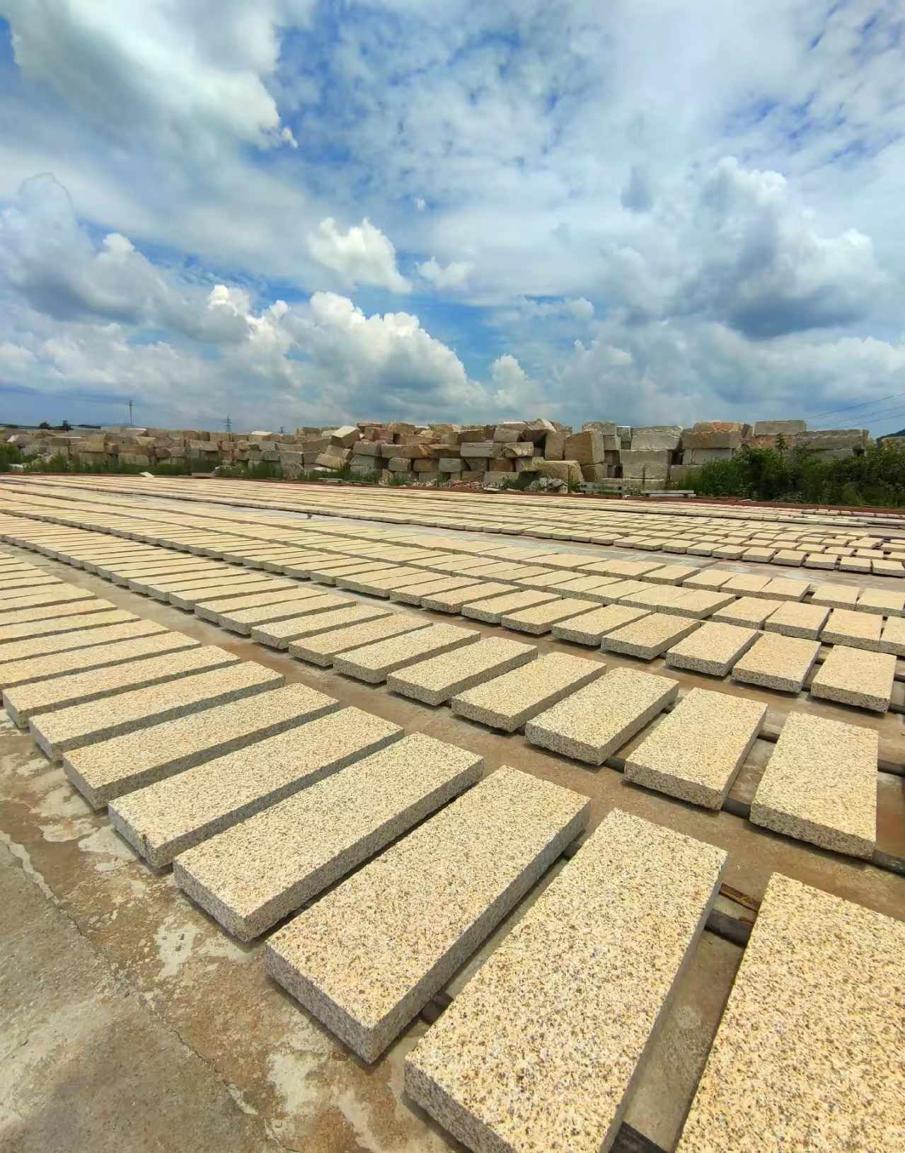 秦皇岛 黄金麻荔枝面花岗岩石材地铺石防护中